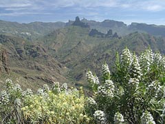 Berglandschaft im Zentrum der Insel Gran Canaria