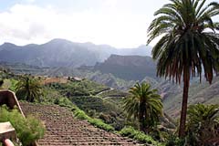 Landwirtschaft Gran Canaria