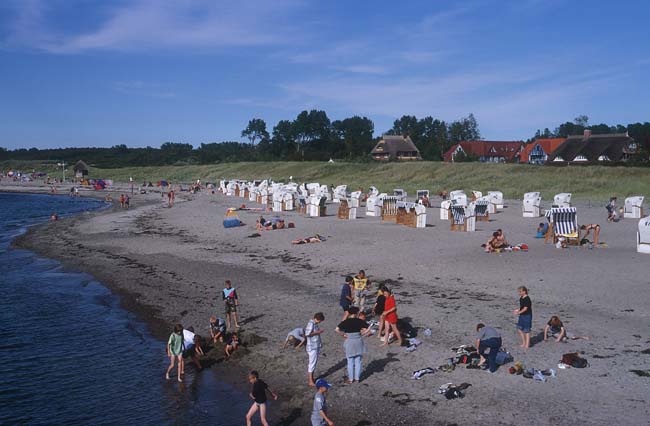 Am Strand von Ahrenshoop