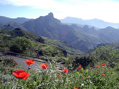 Gran Canaria - Bergland im Zentrum der Insel mit dem Roque Bentaiga