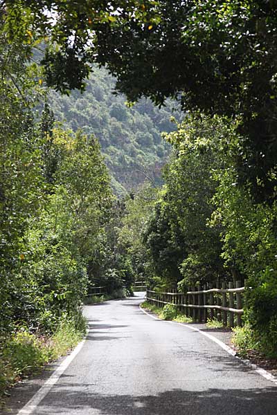 Straße durch den Barranco de Laurel - Gran Canaria