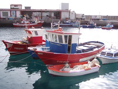 Fischerboote im Fischerhafen von Puerto de Mogan - Gran Canaria